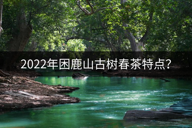 2022年困鹿山古樹春茶特點(diǎn)? 2022年困鹿山古樹春茶特點(diǎn)?