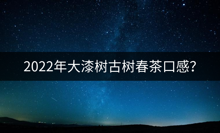 2022年大漆樹古樹春茶口感？