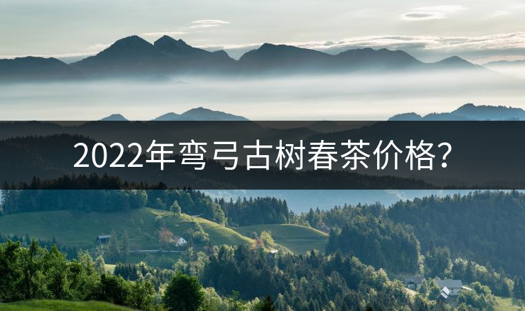 2022年彎弓古樹(shù)春茶價(jià)格？