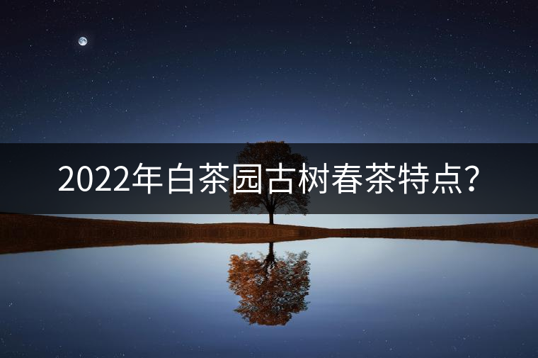 2022年白茶園古樹春茶特點？