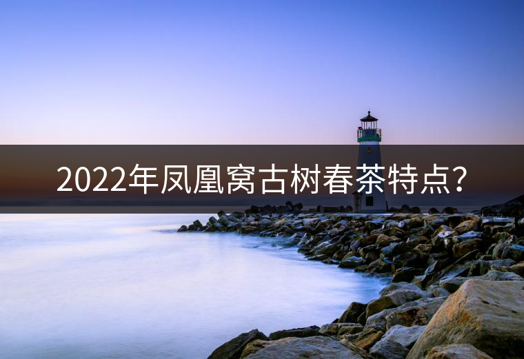 2022年鳳凰窩古樹春茶特點(diǎn)？