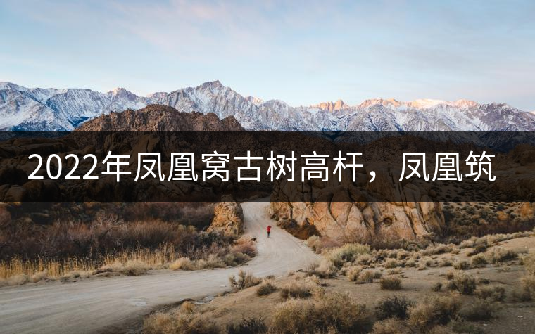 2022年鳳凰窩古樹(shù)高桿,鳳凰筑巢的地方 2022年鳳凰窩古樹(shù)高桿,鳳凰筑巢的地方