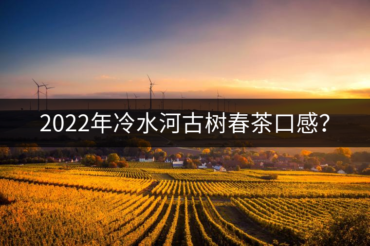2022年冷水河古樹春茶口感? 2022年冷水河古樹春茶口感?