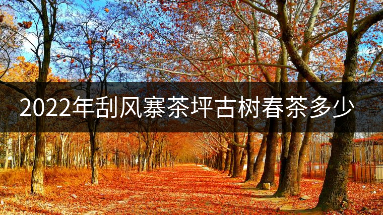 2022年刮風(fēng)寨茶坪古樹春茶多少錢一公斤？