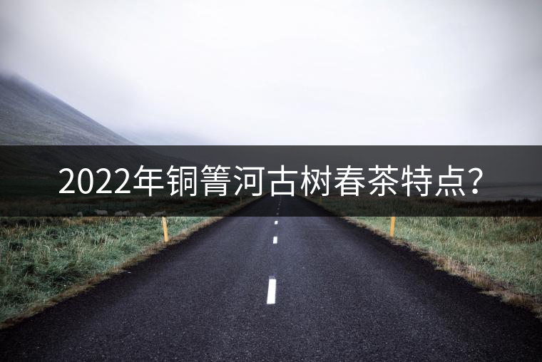 2022年銅箐河古樹春茶特點(diǎn)？