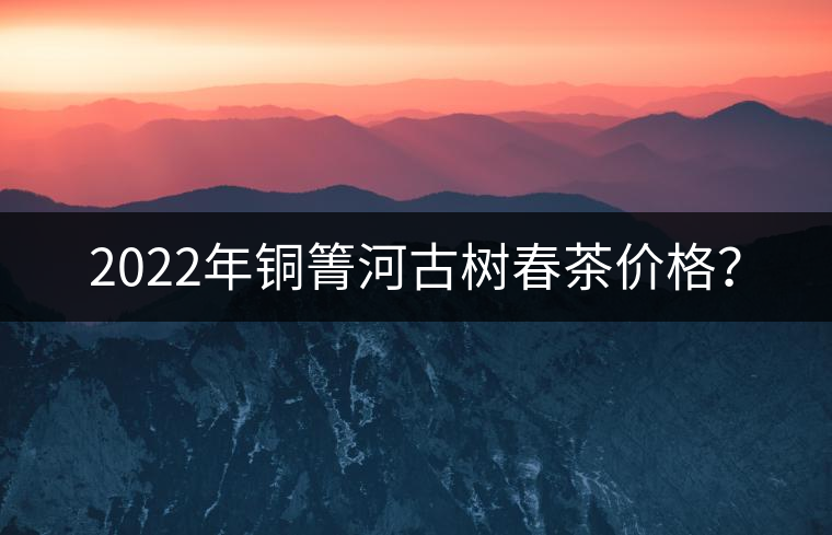 2022年銅箐河古樹春茶價(jià)格？