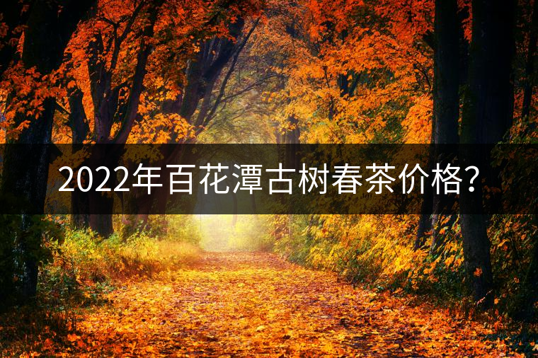 2022年百花潭古樹(shù)春茶價(jià)格？