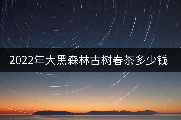 2022年大黑森林古樹(shù)春茶多少錢(qián)一公斤？