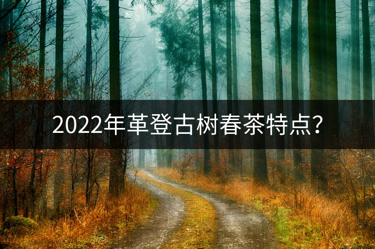 2022年革登古樹春茶特點？