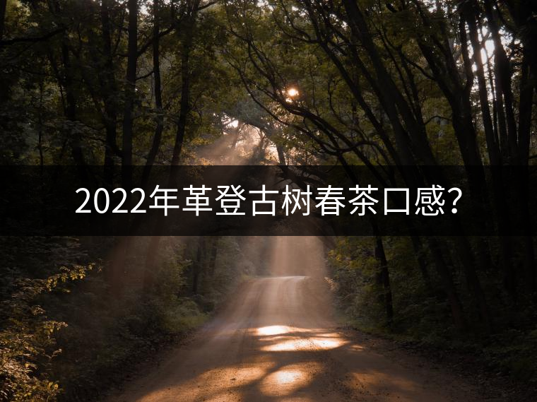 2022年革登古樹春茶口感？
