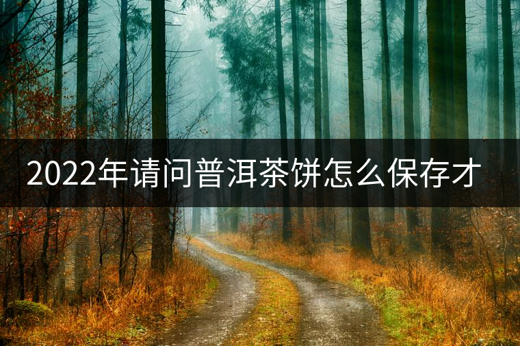2022年請問普洱茶餅怎么保存才能好喝? 2022年請問普洱茶餅怎么保存才能好喝?