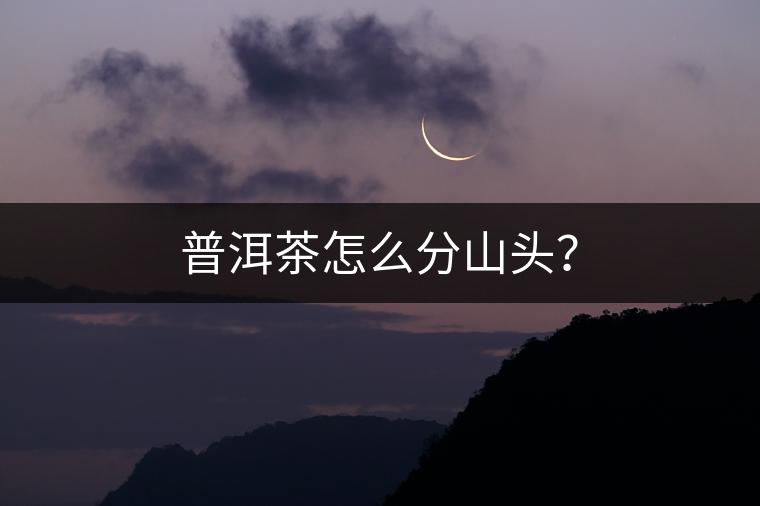 普洱茶怎么分山頭？