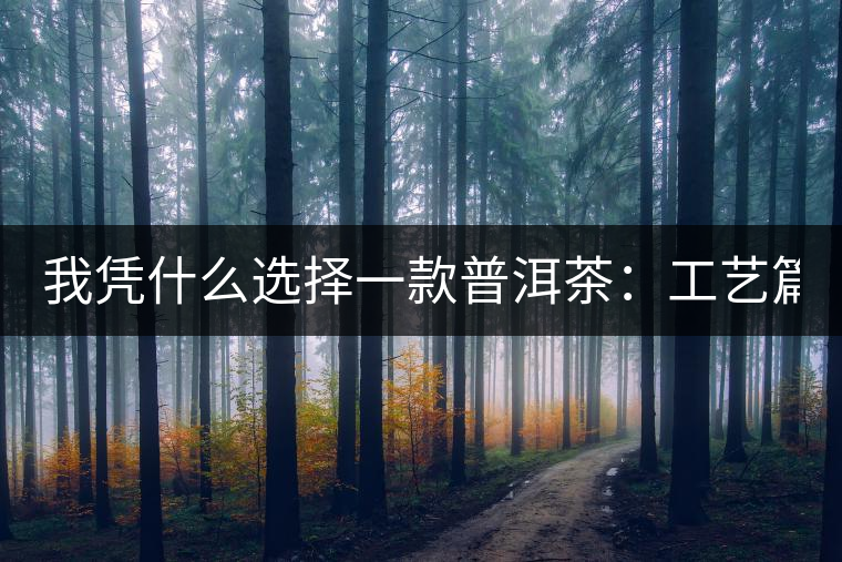 我憑什么選擇一款普洱茶：工藝篇？