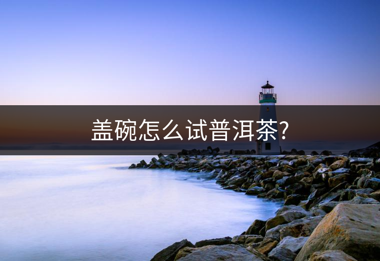 蓋碗怎么試普洱茶? 蓋碗怎么試普洱茶?