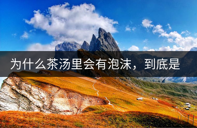 為什么茶湯里會(huì)有泡沫，到底是怎么回事？