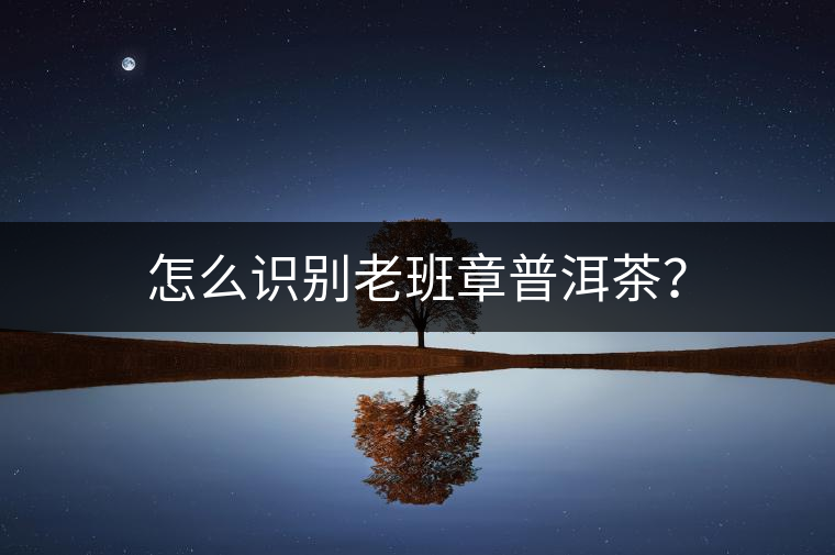 怎么識(shí)別老班章普洱茶？