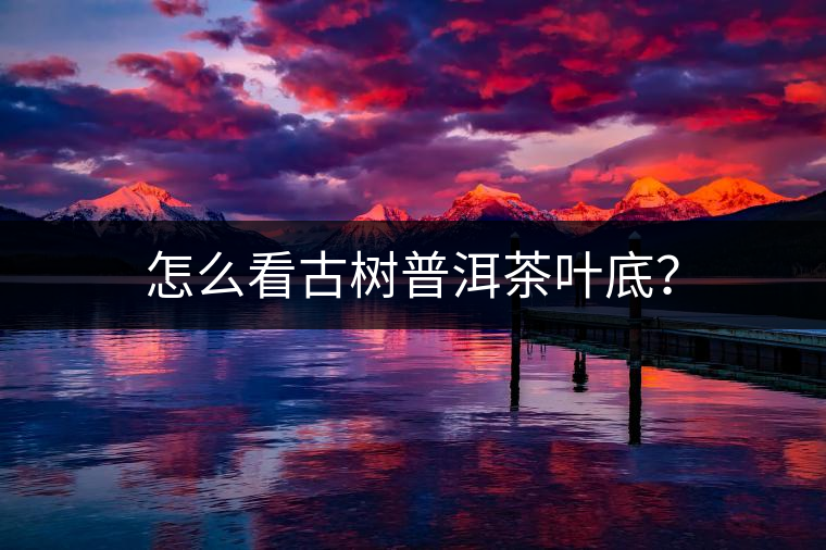 怎么看古樹(shù)普洱茶葉底? 怎么看古樹(shù)普洱茶葉底?