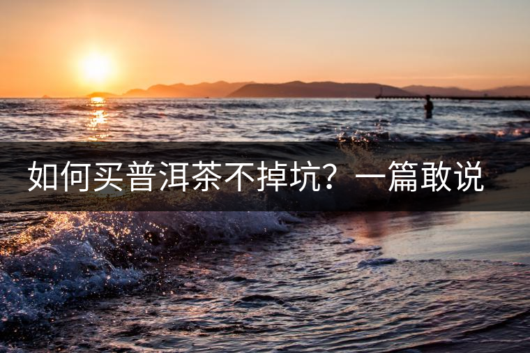 如何買普洱茶不掉坑？一篇敢說真話的良心之作。