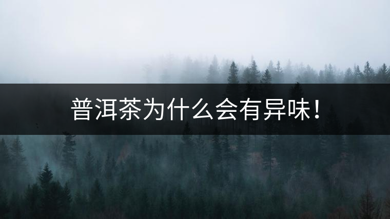 普洱茶為什么會有異味！