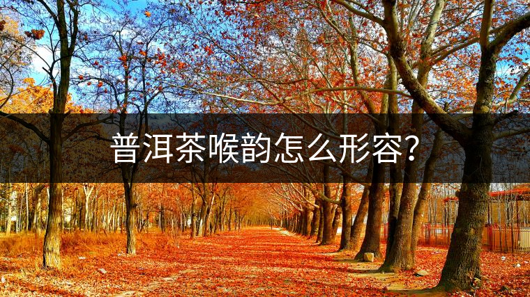 普洱茶喉韻怎么形容? 普洱茶喉韻怎么形容?