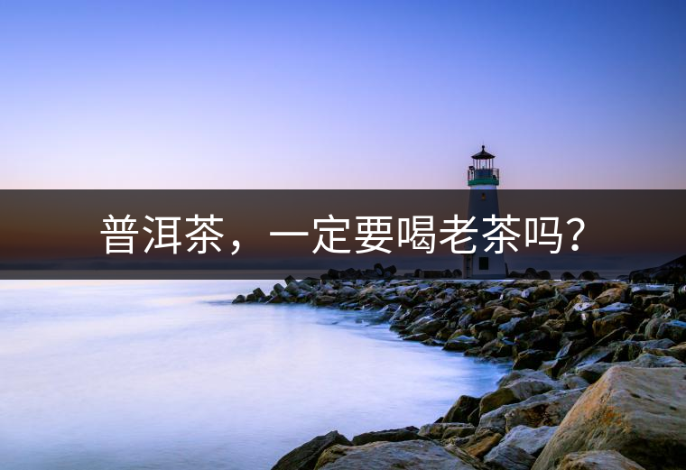 普洱茶，一定要喝老茶嗎？