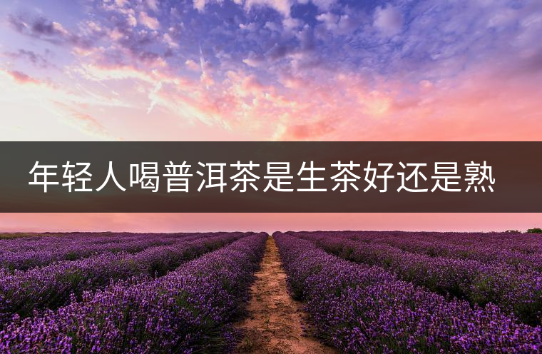 年輕人喝普洱茶是生茶好還是熟茶好？該怎么選擇？