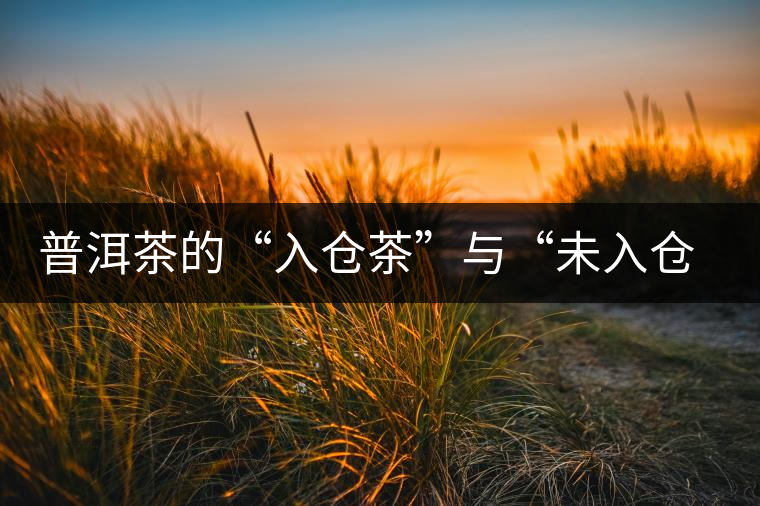 普洱茶的“入倉茶”與“未入倉茶”如何區(qū)分，你造嗎？