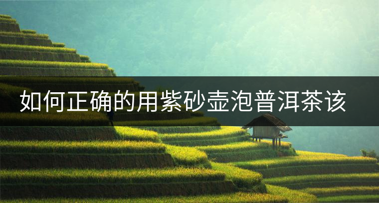 如何正確的用紫砂壺泡普洱茶該?這5點最重要 如何正確的用紫砂壺泡普洱茶該?這5點最重要