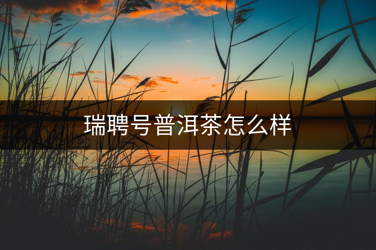 瑞聘號(hào)普洱茶怎么樣 瑞聘號(hào)普洱茶怎么樣