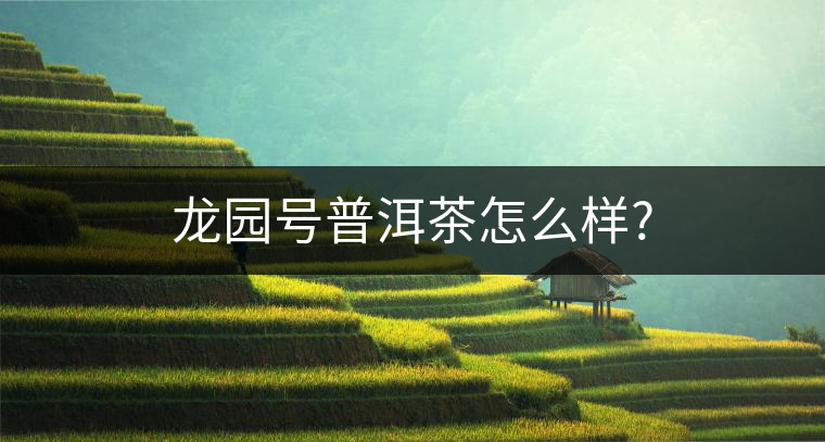 龍園號普洱茶怎么樣? 龍園號普洱茶怎么樣?