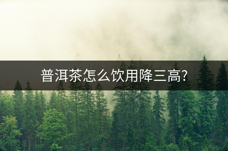 普洱茶怎么飲用降三高?