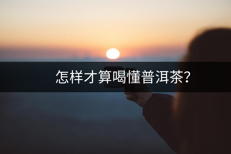 　怎樣才算喝懂普洱茶？