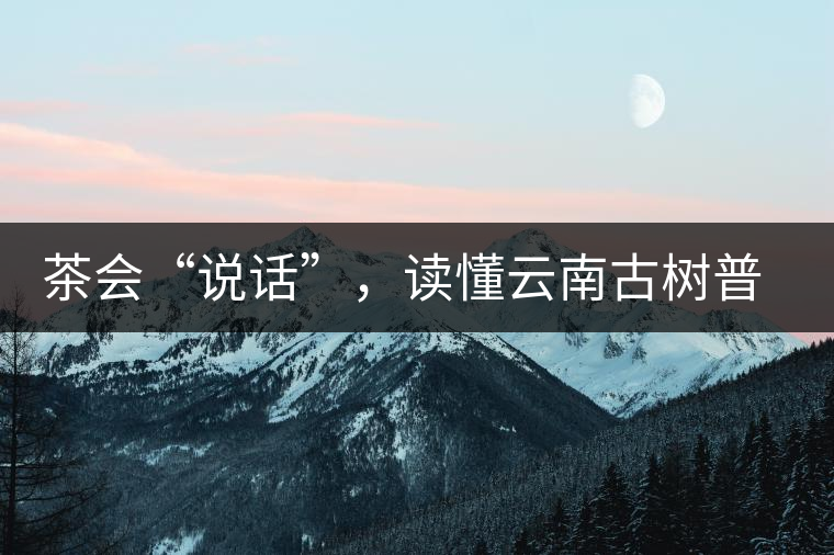 茶會“說話”，讀懂云南古樹普洱茶的秘訣