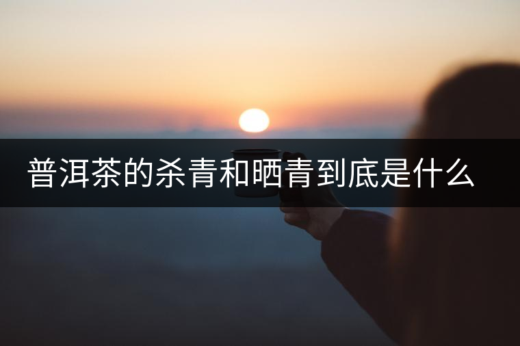 普洱茶的殺青和曬青到底是什么樣丨知識(shí) 普洱茶的殺青和曬青到底是什么樣丨知識(shí)