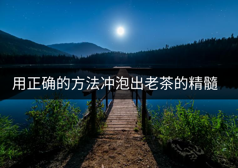 用正確的方法沖泡出老茶的精髓；評看普洱茶葉底也是一門手藝！