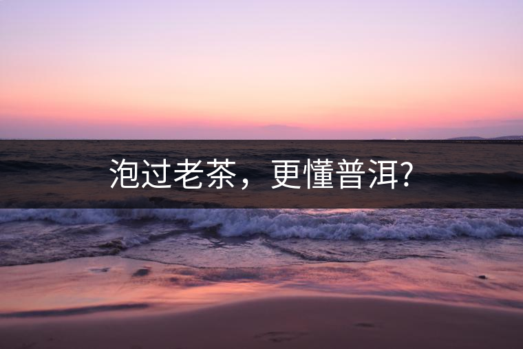 泡過老茶，更懂普洱?