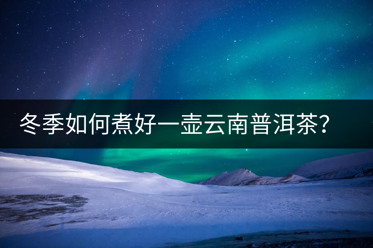 冬季如何煮好一壺云南普洱茶？記好這份煮茶攻略