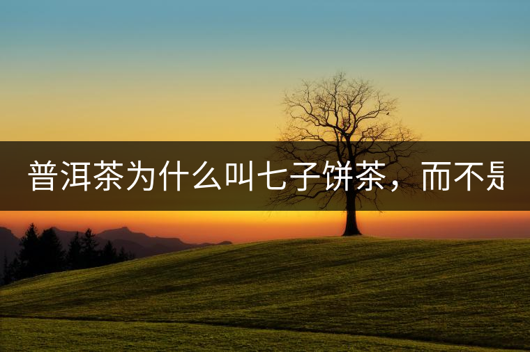 普洱茶為什么叫七子餅茶，而不是六子餅、八子餅......？