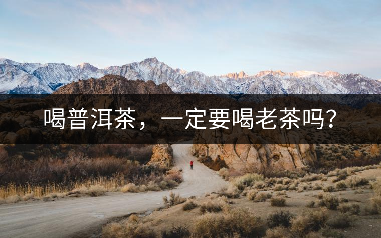 喝普洱茶，一定要喝老茶嗎？