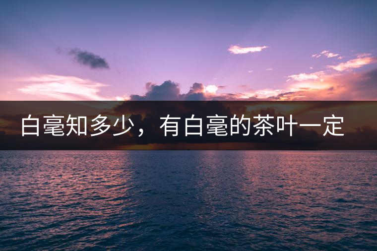 白毫知多少，有白毫的茶葉一定好嗎？