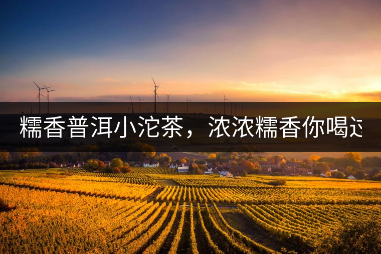 糯香普洱小沱茶，濃濃糯香你喝過嗎？