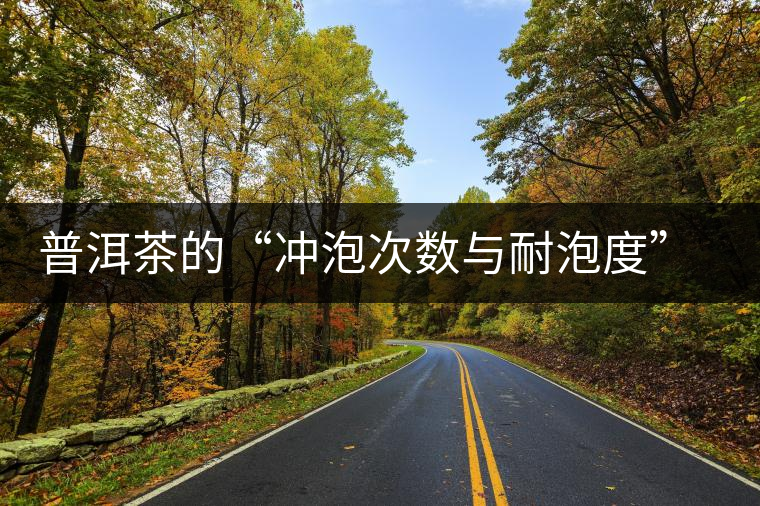 普洱茶的“沖泡次數(shù)與耐泡度”，你都了解嗎？