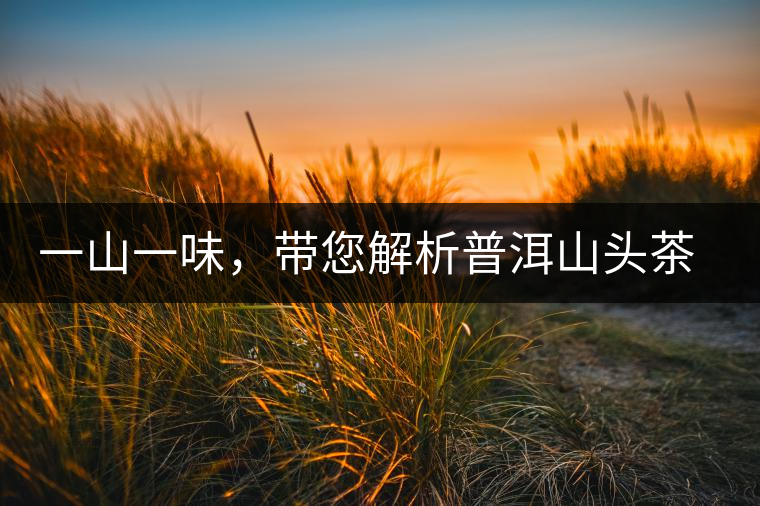 一山一味，帶您解析普洱山頭茶的密碼究竟是什么？