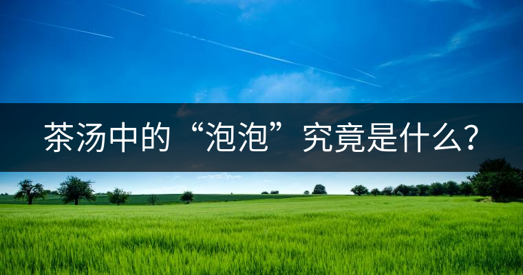 茶湯中的“泡泡”究竟是什么? 茶湯中的“泡泡”究竟是什么?