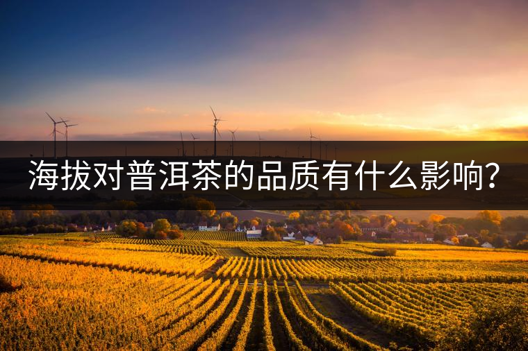 海拔對普洱茶的品質(zhì)有什么影響？