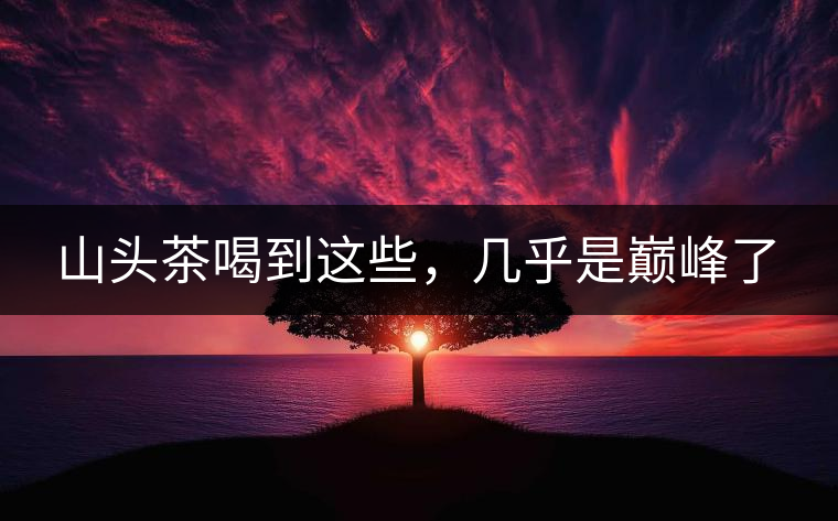 山頭茶喝到這些，幾乎是巔峰了