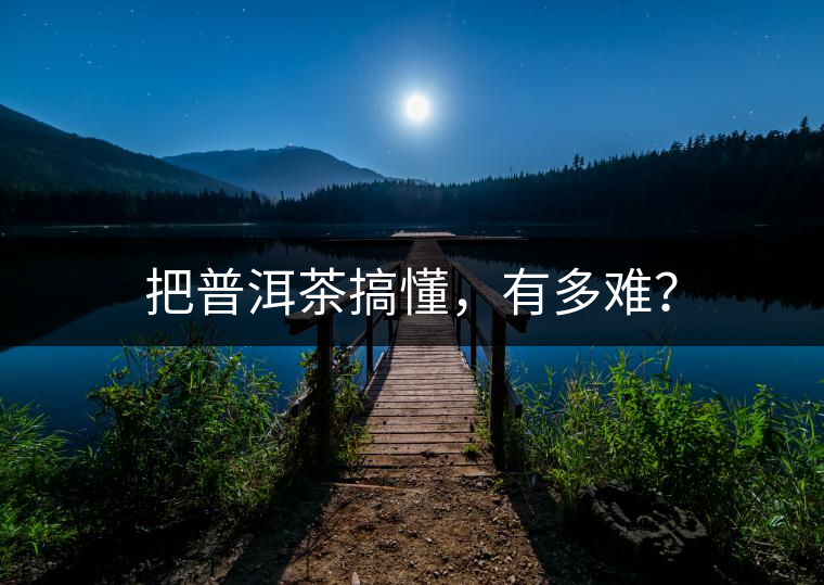 把普洱茶搞懂，有多難？