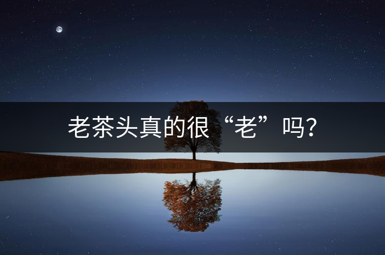 老茶頭真的很“老”嗎？