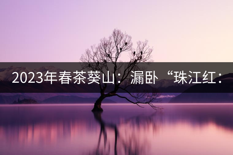 2023年春茶葵山：漏臥“珠江紅：1200元-3200元（有3個檔次）漏臥“大廠茶”：古樹單株8600-9000元／公斤，中樹4800-5200元／公斤，小樹混采2600-2800元／公斤。
