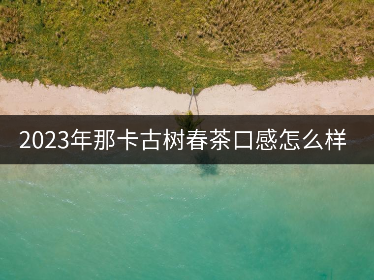 2023年那卡古樹春茶口感怎么樣？